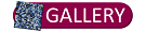 Galer�a